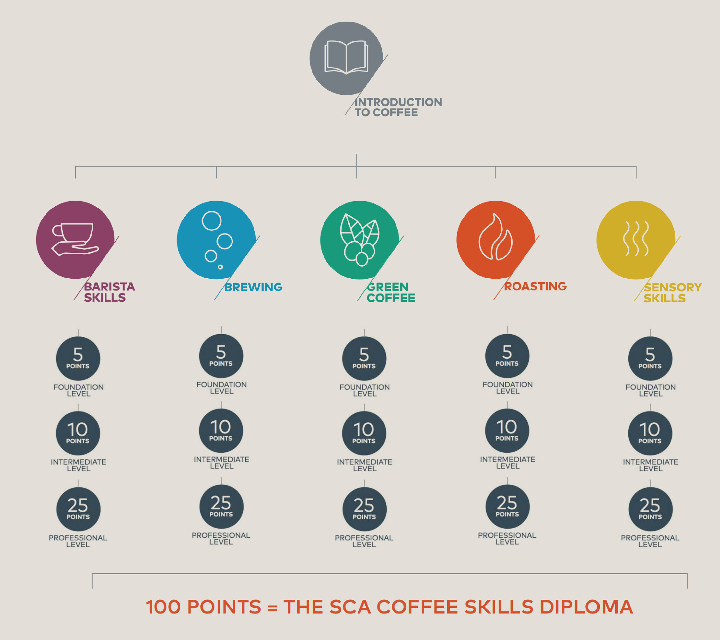 Sca токен. SCA кофе. Оценка кофе SCA. Ассоциация Спешиалти кофе. SCA кофейня.